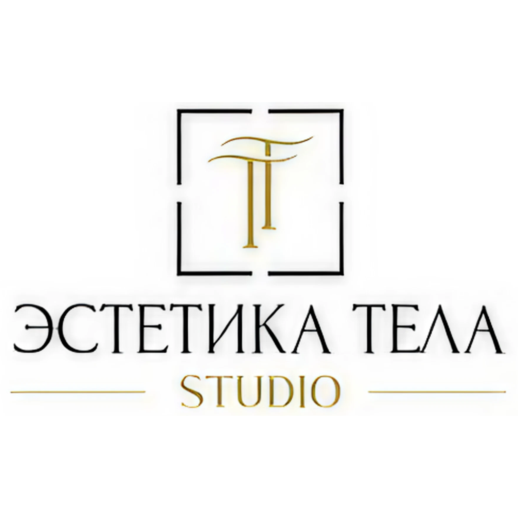 Аппаратный массаж эндосфера, моделирование лица и тела "INDIBA" от 55р в "ТТ studia ЭСТЕТИКА ТЕЛА"